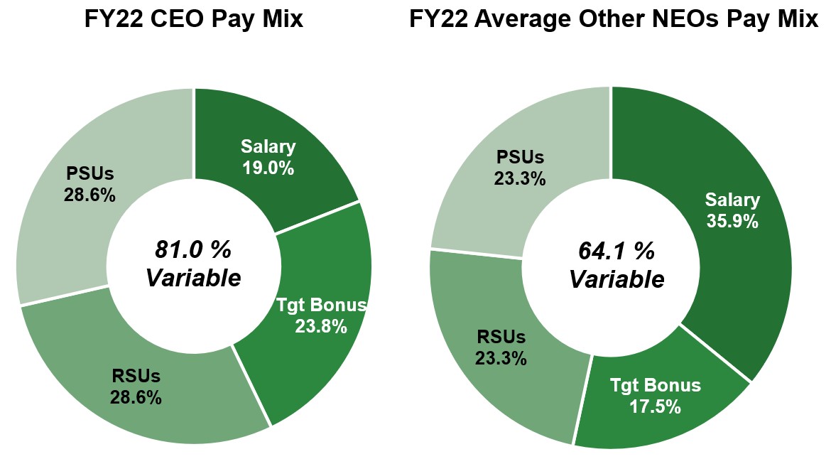 CEO Pay Mix Graph.jpg